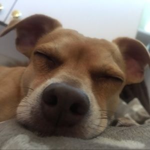 Meet your Posher, Christie